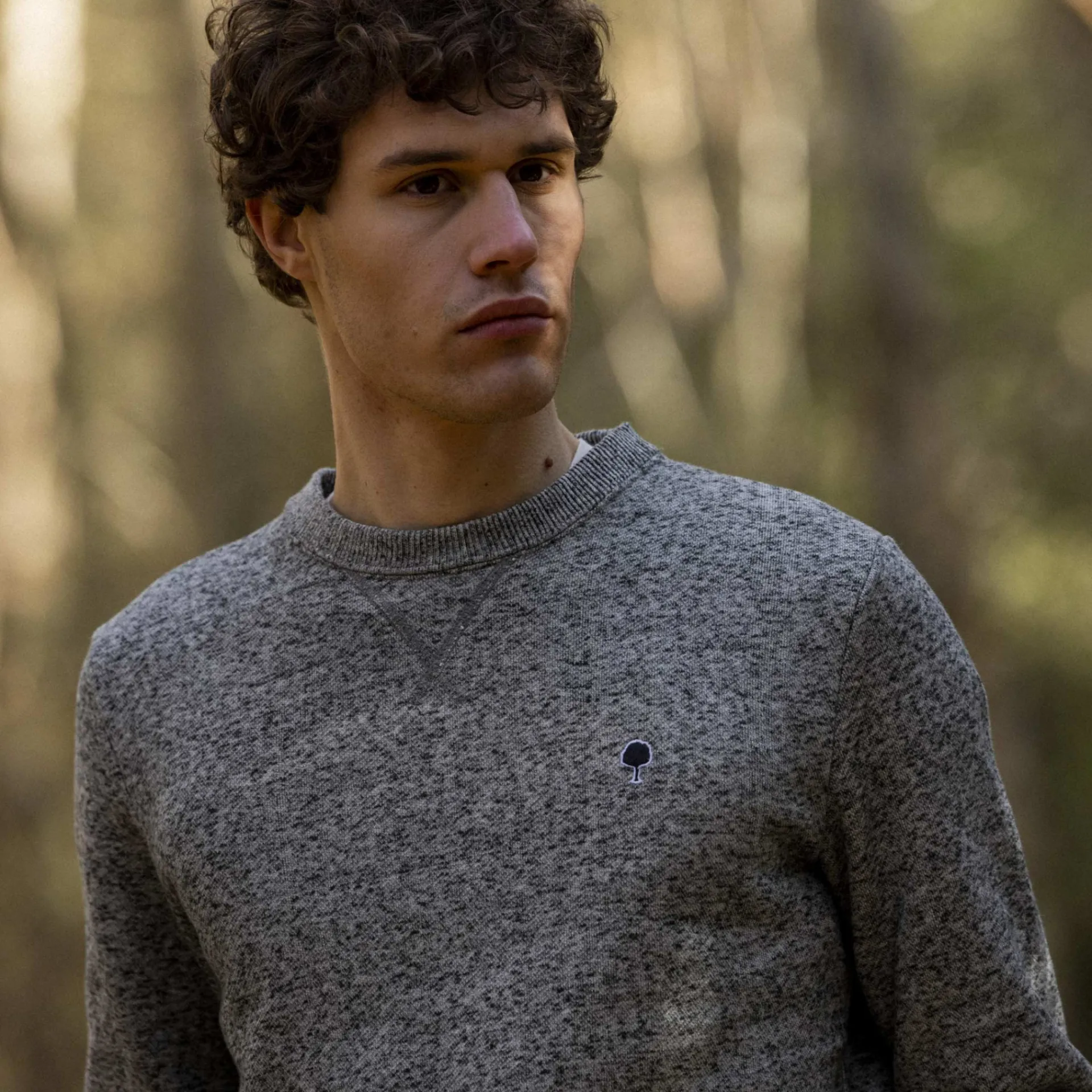 Sweatshirts*FAGUO Sweat Col Rond Gris Chine Fonce